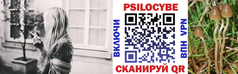 МЕГА ссылки Юхнов Галлюциногенные грибы мухоморы цена